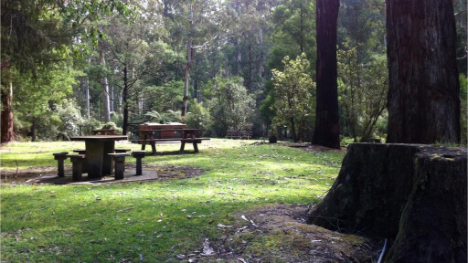 Badger Weir Picnic Area: A Serene Escape into Wilderness