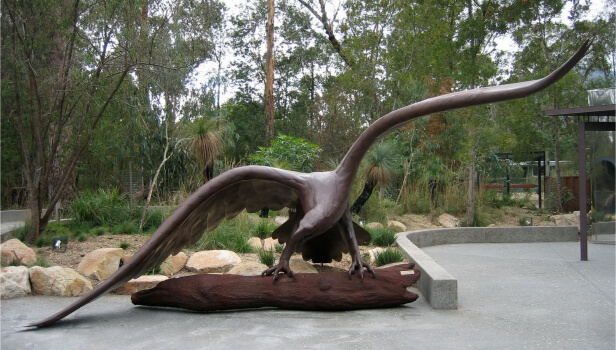 Healesville Sanctuary