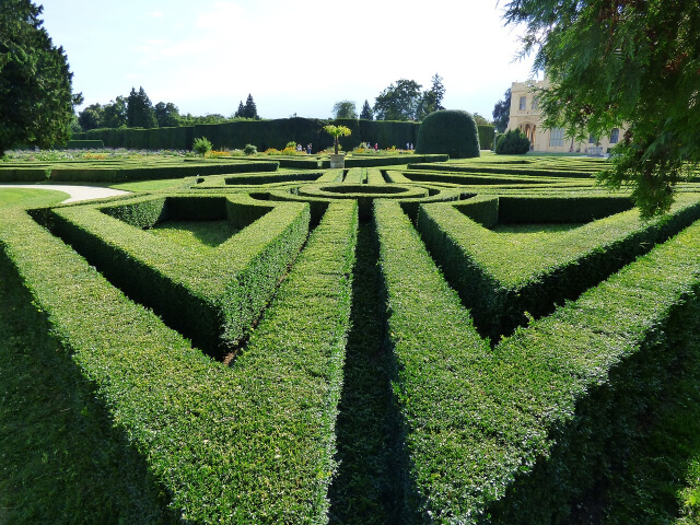 Hedgend Maze: Family Fun and Adventure